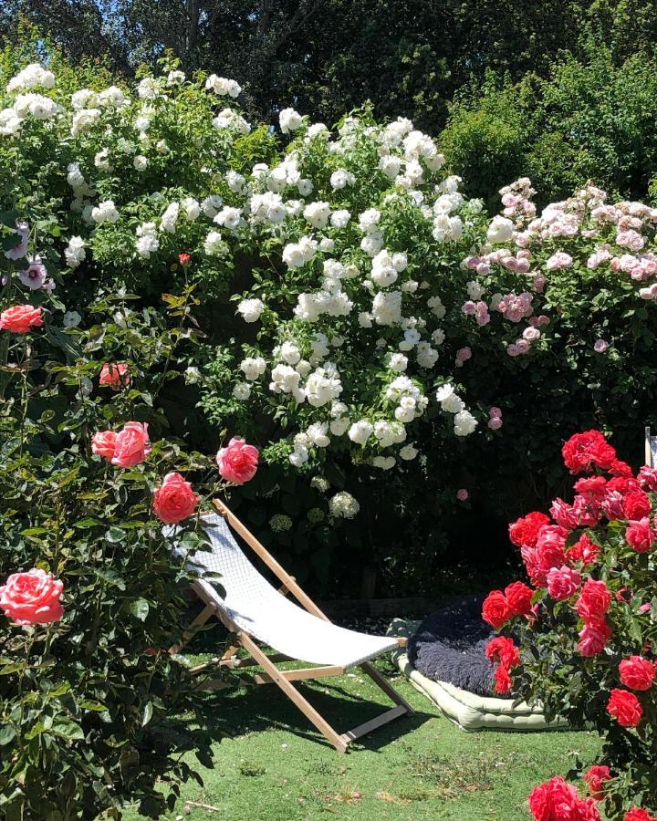Lulu En Provence Bed & Breakfast LʼIsle-sur-la-Sorgue Dış mekan fotoğraf